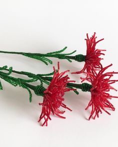 three red flowers with green stems on a white surface