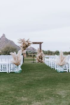 an outdoor ceremony setup with white chairs and pamolite flowers on the back row