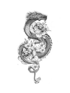 a drawing of a dragon with roses on it