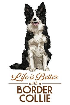 a black and white dog sitting down with the words life is better with border collie