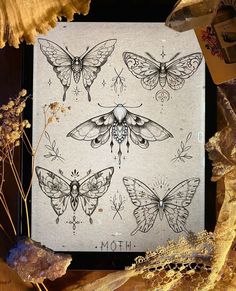 the moths are drawn on paper with gold foil and some dried flowers in front of it