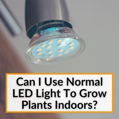 a light bulb with the words can i use normal led light to grow plants indoors?