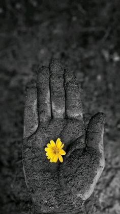 a person's hand with a yellow flower in the middle of their left palm