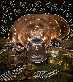 a drawing of a beaver sleeping on top of a moss covered ground with hearts and arrows