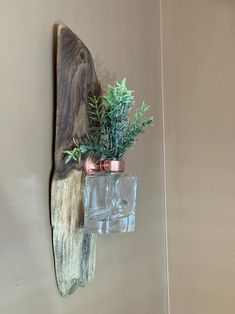 a vase filled with plants sitting on top of a wooden wall mounted shelf next to a mirror