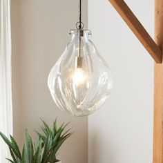 a glass light hanging from a wooden beam next to a potted plant on a table