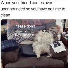 a cat sitting on top of a couch next to a remote control and pillow with the caption, when your friend comes over unannounned so you have no time to clean