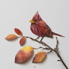 a red bird sitting on top of a tree branch next to autumn colored leaves and twigs