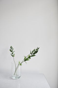 two clear vases with green plants in them on a white tableclothed surface