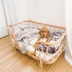 a brown dog laying in a bed on top of a wooden floor