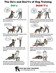 a poster with instructions on how to train a dog in the same way as it is