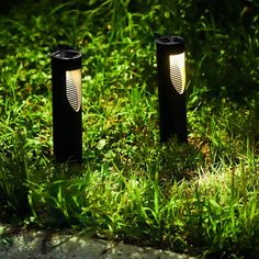 two black lights are sitting in the grass