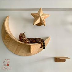 a cat laying on top of a wooden crescent shaped shelf next to a wall mounted star