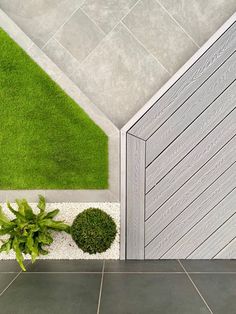 a green plant sitting next to a wooden door on top of a tiled floor in front of a grass covered wall