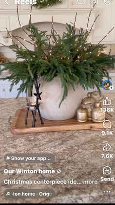 a potted plant sitting on top of a wooden tray