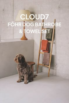 a dog sitting on the floor next to a chair and towel rack in a bathroom