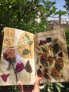 an open book with pictures of flowers and leaves on it in front of some trees