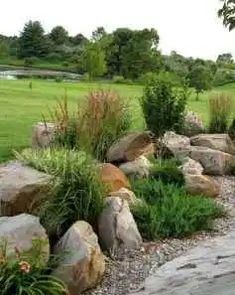 a garden with rocks and plants in it