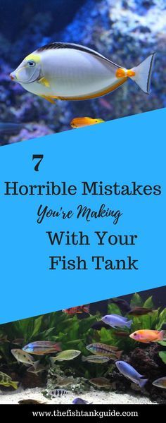 an aquarium filled with fish and text that reads, 7 horrible mistakes you're making with