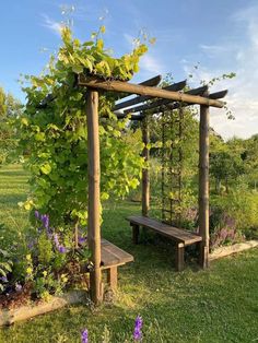 Gum Pole Pergola, Tree Trunk Pergola, Arbor Garden Ideas, Inexpensive Pergola Ideas, Grape Trellis Ideas, Garden Veranda Ideas, Minimalistic Plants, Square Pergola, Garden Pergola Ideas