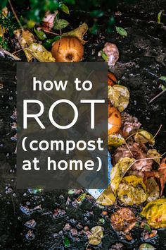 rotten vegetables and leaves on the ground with text overlay how to rot compost at home