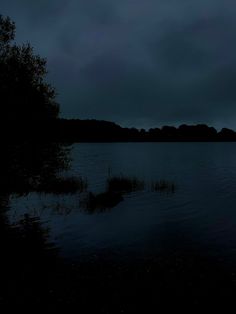 the dark sky is reflected in the calm water at night, with trees and bushes on either side