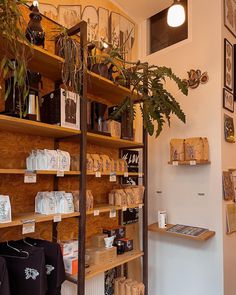 a store with shelves filled with items and plants