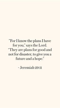 the words for i know the plans i have for you, says the lord they are plans