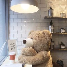 a large teddy bear sitting on top of a counter