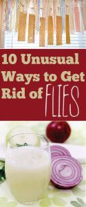 10 unusual ways to get rid of filts by susan kreisner, m d