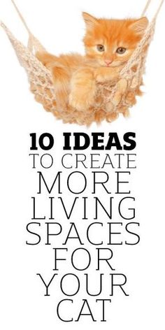 an orange cat sitting in a hammock with the words 10 ideas to create more living spaces for your cat