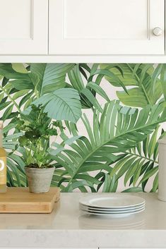 a kitchen counter with plates, cups and bottles on it next to a plant wallpaper