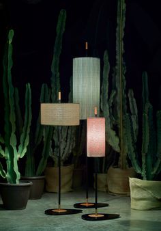 three lamps sitting next to each other in front of cacti