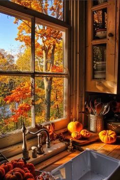 a kitchen sink sitting next to a window filled with pumpkins and other autumn decorations