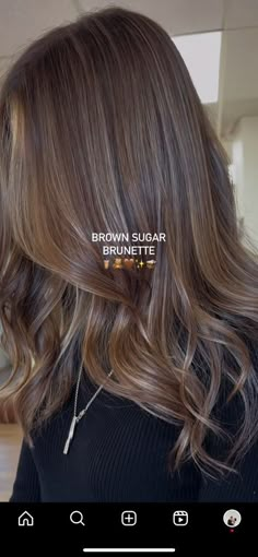 Flat Brown Hair Color, Fall Hair Brunette 2024, Chocolate Brown Hair Babylights, Caramel Hilites On Dark Hair, Light Hair Color Ideas For Black Hair, Cool Brown Balayage Hair, Balayage Dark Brown Hair Straight, Beige Brown Hair With Highlights, Dimensional Brunette Fall