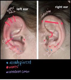 an ear is shown with different words written on it