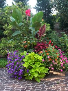 a garden filled with lots of different types of flowers next to a brick walkway and trees