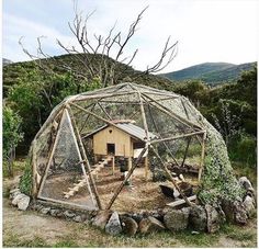 a chicken coop built into the side of a hill with trees and rocks around it