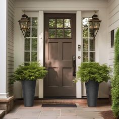 two potted plants on the front steps of a house