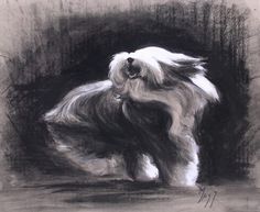 a black and white drawing of a dog