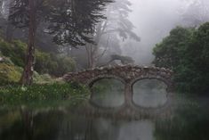 a stone bridge over a body of water surrounded by trees and bushes in the fog