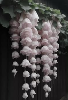 pink flowers hanging from the side of a building