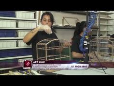 two women are working in an animal cage