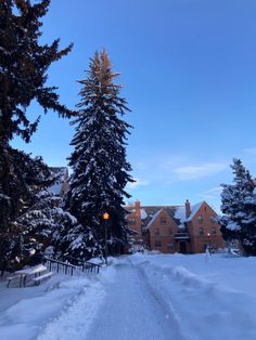 snow covered trees line the street in front of a house