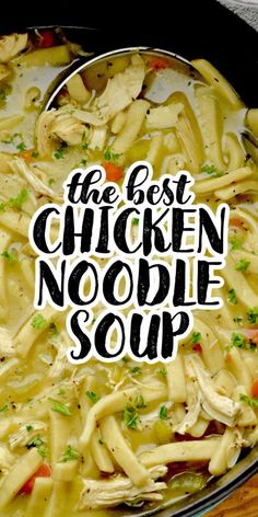 the best chicken noodle soup is in a pan