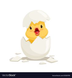 a chicken hatched in an egg shell