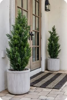 two potted trees sitting on top of a stone floor next to a door way