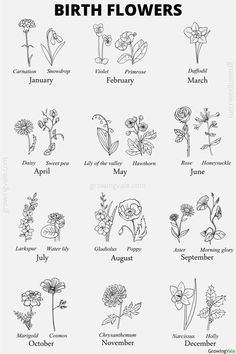 the birth flowers are shown in black and white, as well as an image of each flower