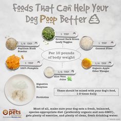 an info board with different foods that can help your dog poop better 3 times