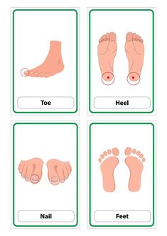 four different types of feet with the words toe, heel, and foot on them